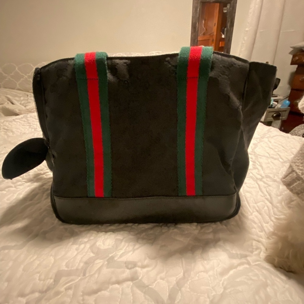 Gucci pet carrier